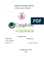 Uniglobe Secondary School Lab Report on HTML and CSS