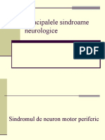 Principalele Sindroame Neurologice