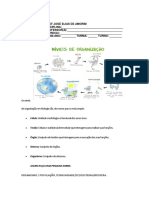 Niveis de Organização Dos Seres Vivos