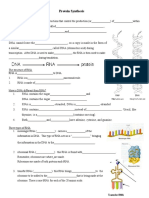 RNA and Protein Synthesis Worksheet