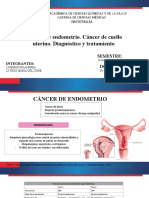 Cáncer de endometrio y cuello...