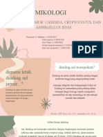 Mikologi: Dinding Sel Jamur: Candida, Cryptococus, Dan Aspergillus Jenis