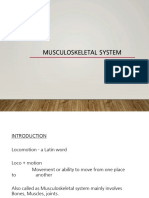 Musculoskeletal Examination