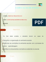 Instituto de Educação de Ensino À Distância: Práticas Pedagógicas Ii