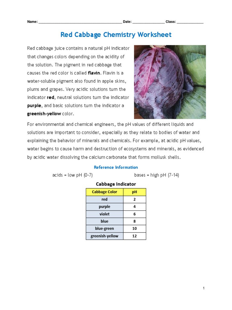 CABBAGE CHEMISTRY Worksheet PDF Ph Sodium Bicarbonate