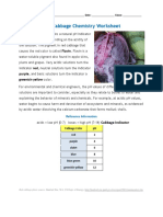 Activity7 Cabbage Chemistry