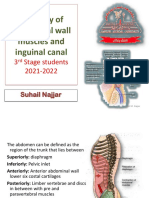 LG 3 (Abdominal Wall Muscles and Inguinal Canal)