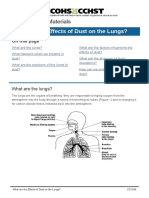 What Are The Effects of Dust On The Lungs?: Chemicals and Materials