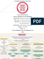 Mapas Conceptuales de MAIS y IAAS