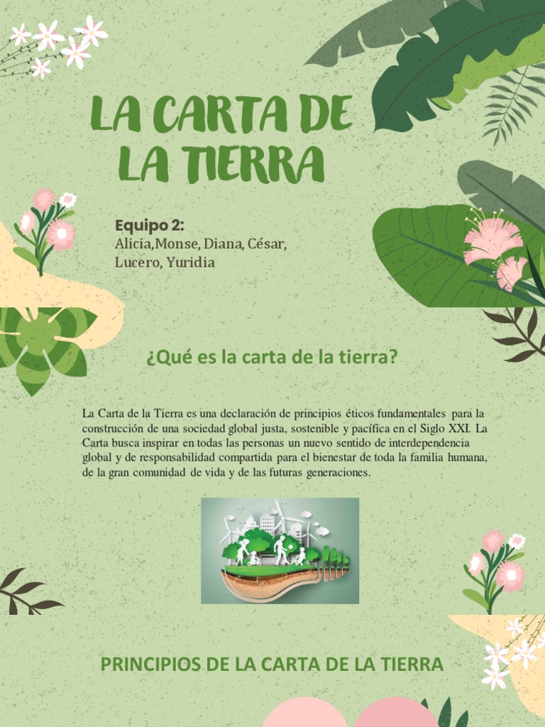 Principios de la Carta de la Tierra | PDF