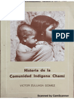 HIstoria de Los Chami Zuluaga 1988