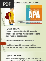 Normas Apa