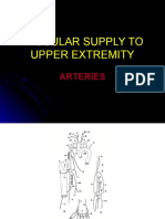 Vascular Supply To Upper Extremity