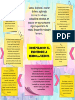 IncorporaciÃ N Al Proceso de La Persona JurÃ Dica