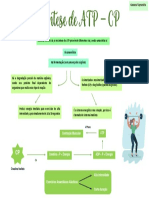 Via anaeróbica ATP ressíntese exercício