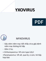 MYXOVIRUS