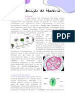 Distribuição de Matéria