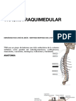 Trauma Raquimedular: Hernández Ruiz José de Jesús - Martinez Martinez Ana Licette