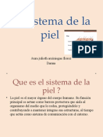 El Sistema de La Piel Trabajo