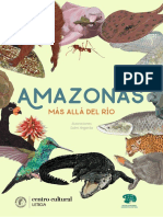 Amazonas Más Allá Del Río