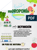 Hidroponia