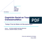 Cognición Social en Traumatismo Craneoencefálico: Trabajo Final de Máster de Neuropsicología