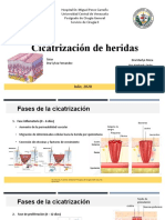 Cicatrización