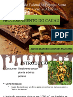 Processamento Do Cacau