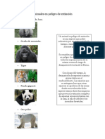 Animales en Peligro de Extinción