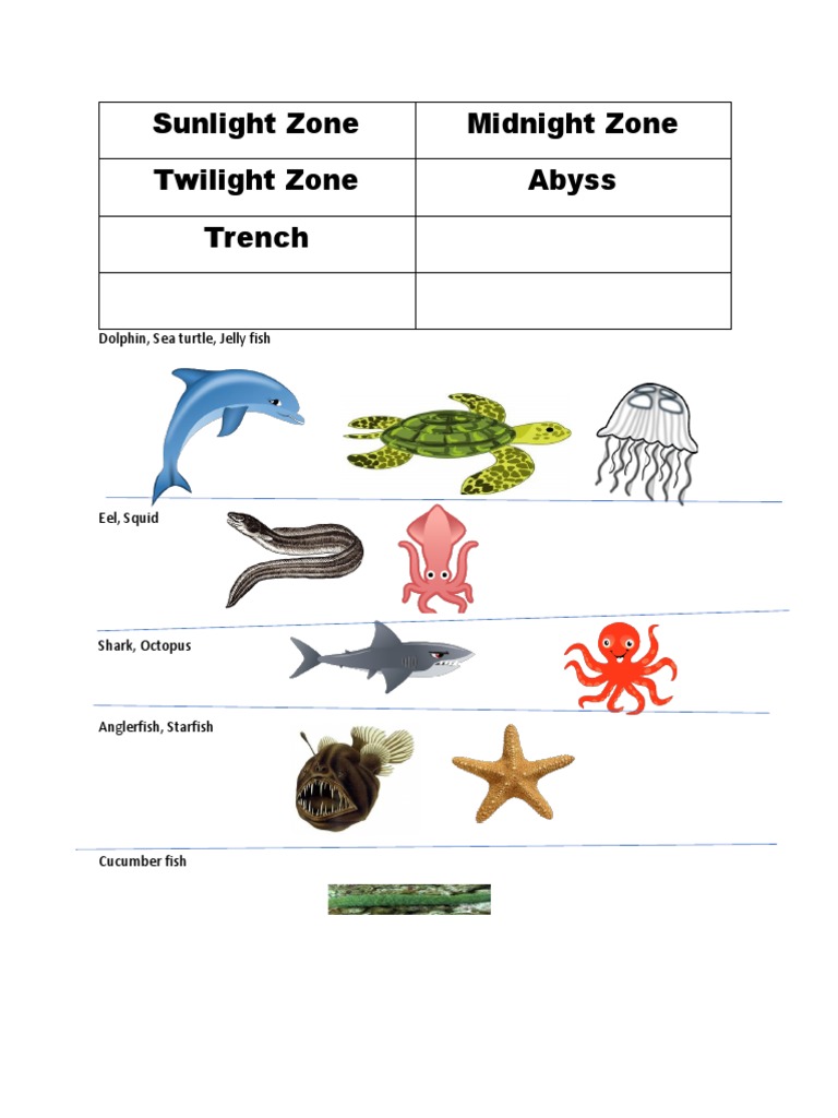 Ocean Zones Worskheet Craft | PDF
