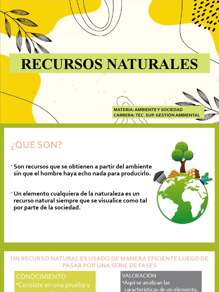 Recursos Naturales: Clasificación y Uso | PDF | Naturaleza | Entorno ...