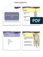 004 Anatomía Topográfica Toráx Ed Física