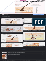 Estructuras Del Cabello - Búsqueda de Google