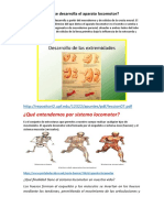 ¿Qué Entendemos Por Sistema Locomotor?: ¿En Qué Semana Se Desarrolla El Aparato Locomotor?