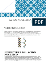 Ácido Nucleico: Andrés Ricardo Manuel Mendoza Maikoll Gómez