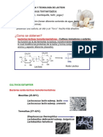 Productos Lácteos Fermentados (: ¿Como Se Obtienen?