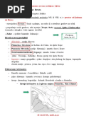 Pisana Provjera 6. R. B | PDF