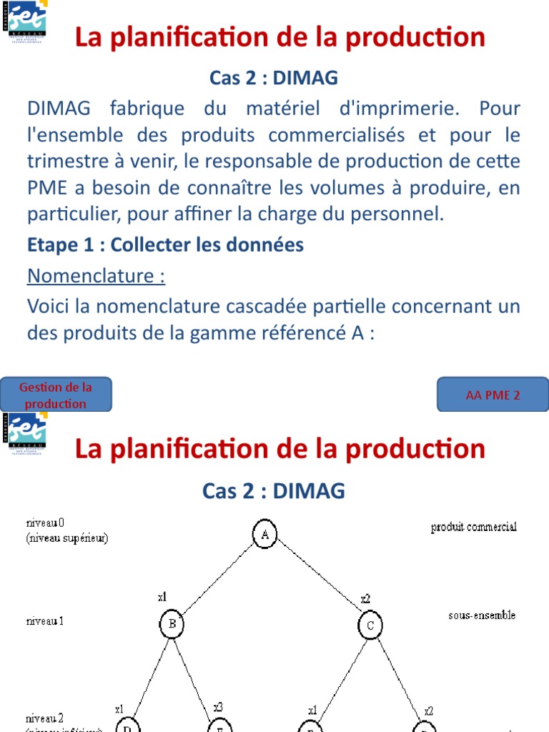 Planification de production pour DIMAG | PDF