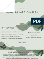 Plantas Medicinales