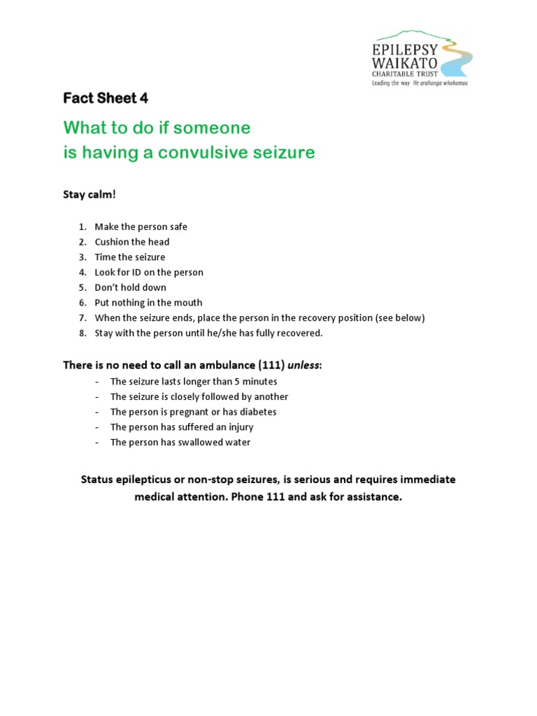 Seizure Fact Sheet PDF Wheelchair Diseases And Disorders