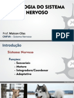 Fisiologia do Sistema Nervoso em