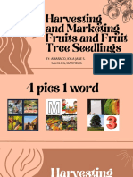 Harvesting and Marketing Fruits and Fruit Tree Seedlings: By: Amaraco, Kyla Jane S. Salolog, Maryiel B