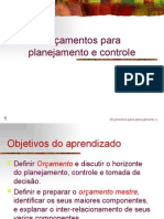 Orcamento e Controle[1]