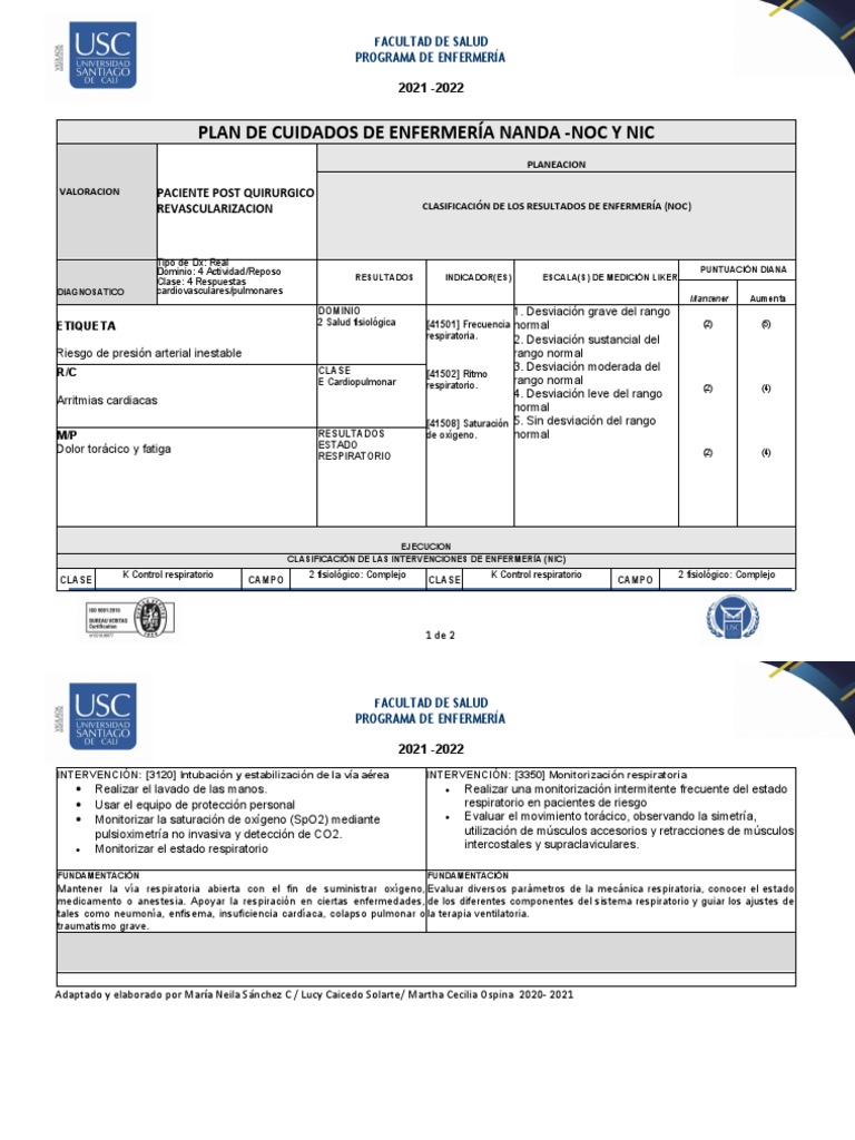 Plan de Cuidados de Enfermería Nanda - Noc Y Nic | PDF | Sistema ...