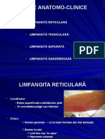 Forme Anatomo-Clinice: Limfangită Reticulară