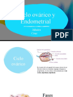 Ciclo Ovulacion y Endometrial