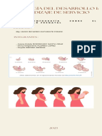 Infografia Del Desarrollo Prenatal