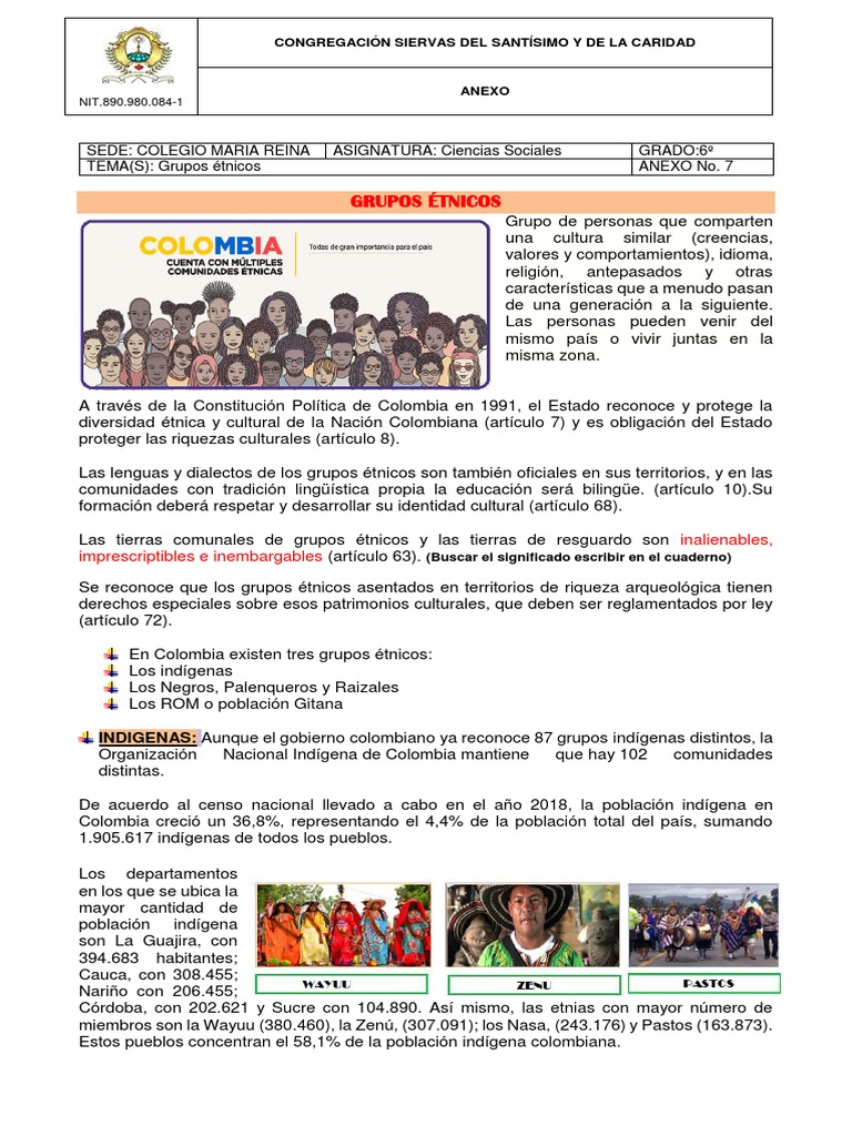 Anexo Na - 7 Grupos A - Tnicos | PDF | Colombia | Pueblo romaní