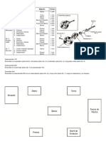 Ejercicio RODILLO-lay Out