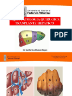 Higado Patologia Quirugica Trasplante Hepatico: Dr. Guillermo Chávez Reyes